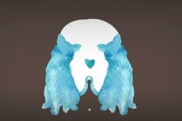 ŠTA STE PRVO PRIMETILI? Ova optička iluzija je skriveni TEST LIČNOSTI, otkriće vam vašu pravu prirodu!