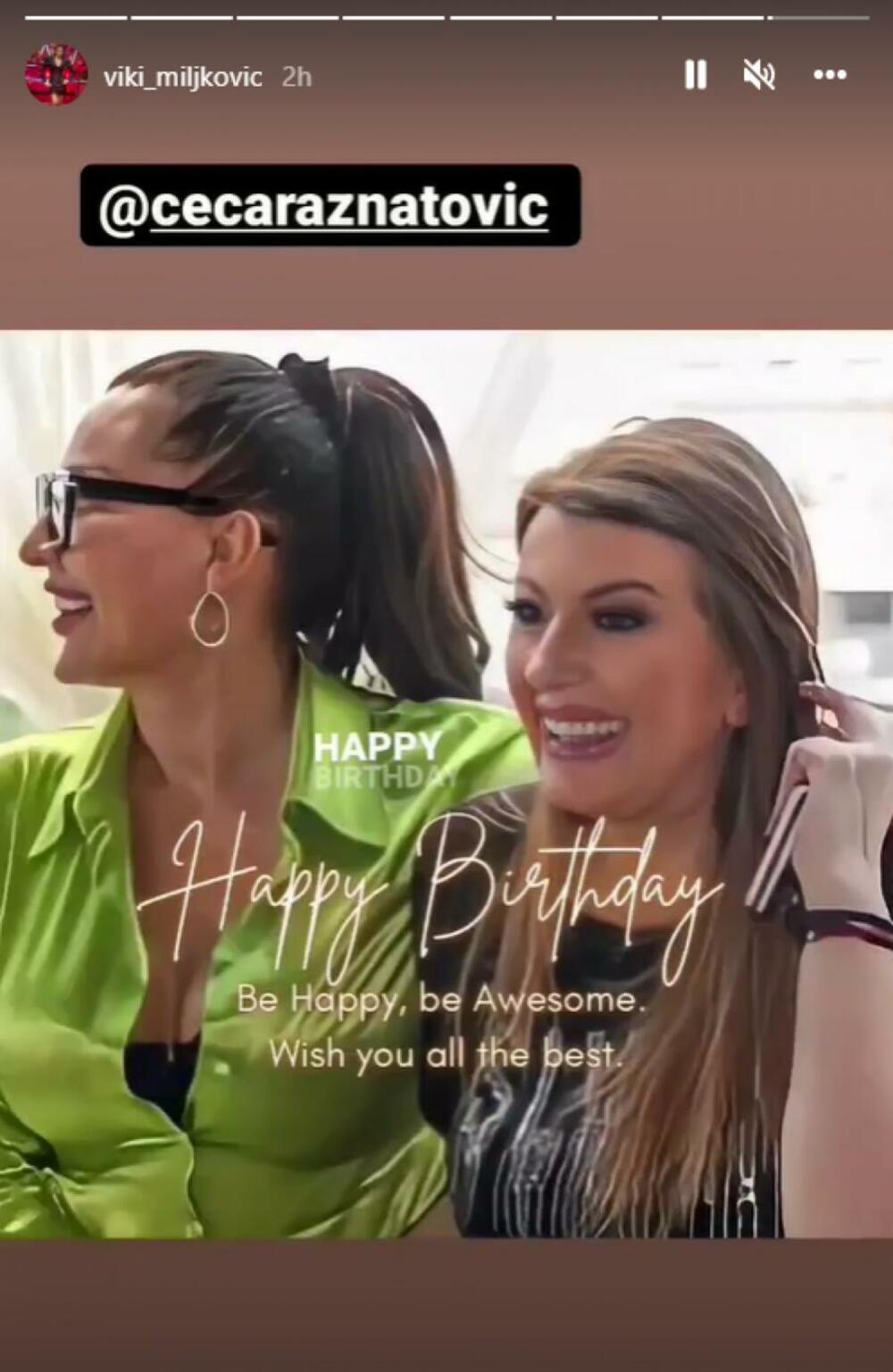 Svetlana Ceca Ražnatović