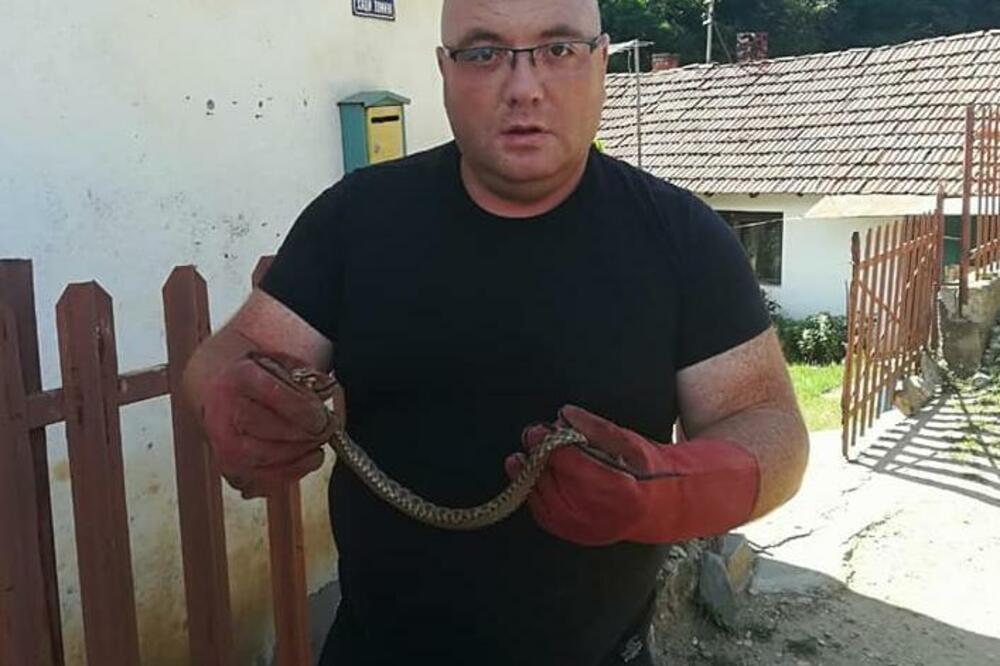 NAJPOZNATIJI ZMIJOLOVAC VLADICA JE MORAO DA IZVADI ZMIJU IZ BOJLERA: Otkrio i kad se NAJČEŠĆE kriju na tom mestu