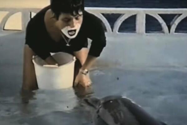 OVA ŽENA SE SE*SALA SA DELFINOM: "Pokazivao mi je genitalije, TRALJAO se o mene" (ŠOK VIDEO)