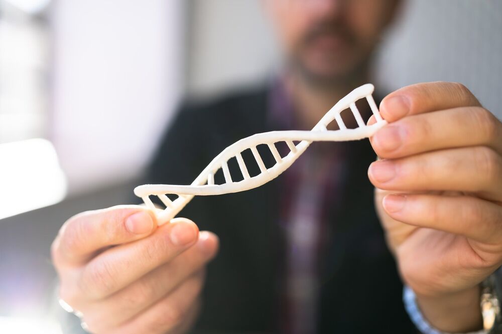 DNK, DNK test, Struktura DNK