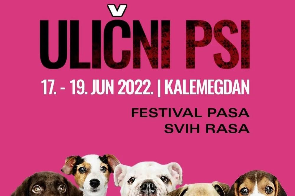 "ULIČNI PSI" FESTIVAL PASA SVIH RASA NA KALEMEGDANU: Za vikend na Kalemegdanu prvi regionalni festival pasa