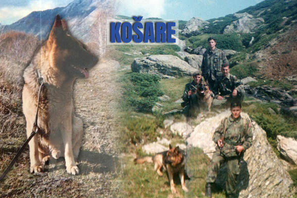 I PSI SU POLAGALI SVOJE ŽIVOTE NA KOŠARAMA: Crnog su IZREŠETALI pijani rezervisti, Lister je zacvileo na Vaskrs