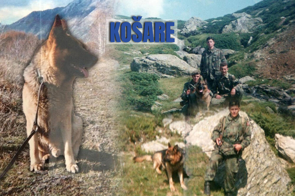 I PSI SU POLAGALI SVOJE ŽIVOTE NA KOŠARAMA: Crnog su IZREŠETALI pijani rezervisti, Lister je zacvileo na Vaskrs