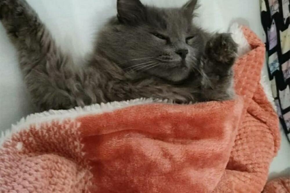 500 EVRA ZA ONOG KO NAĐE ŽILETA: Nestao je u Kotežu (FOTO)