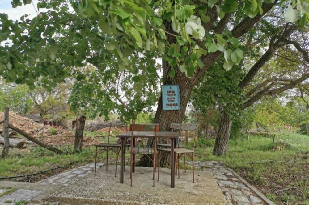 STARA VEROVANJA ZA DUGOVEČNOST DOMA: Evo koje DRVO valja, a koje NE VALJA saditi u BLIZINI KUĆE!