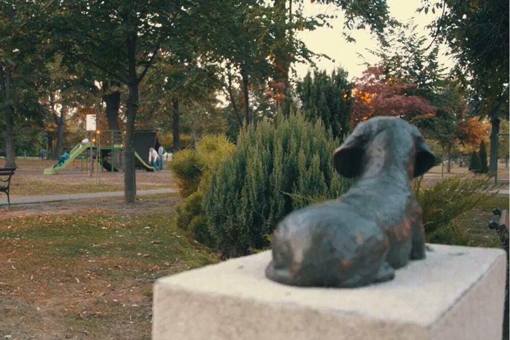 LEO I DAN DANAS MOTRI NA MALU DECU U PARKU U PANČEVU: Ova priča SVAKOM TERA SUZE NA OČI, mali pas VELIKOG SRCA