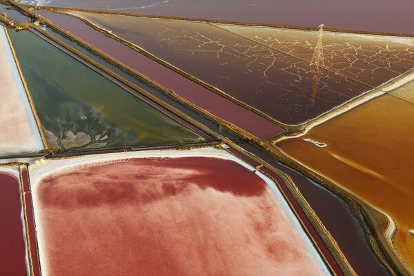 NEĆETE MOĆI DA SE NAGLEDATE OVOG ČUDA! Raznobojna POLJA u San Francisku su NEVEROVATAN fenomen! (FOTO)