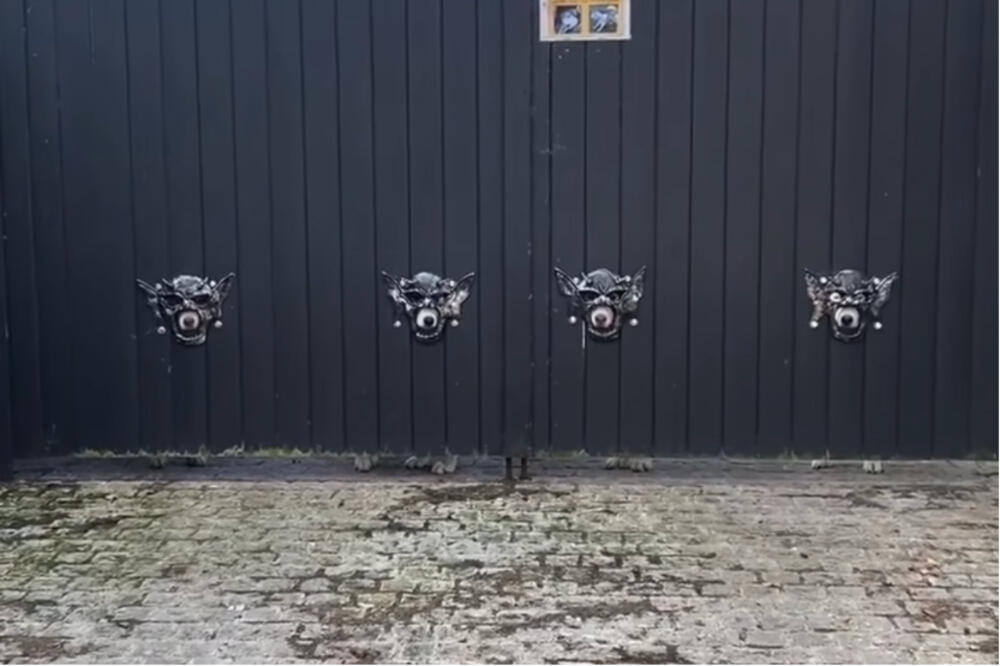 VLASNIK PASA RAZBESNEO INTERNET! Šta im uradi ovo čoveče?! (VIDEO)