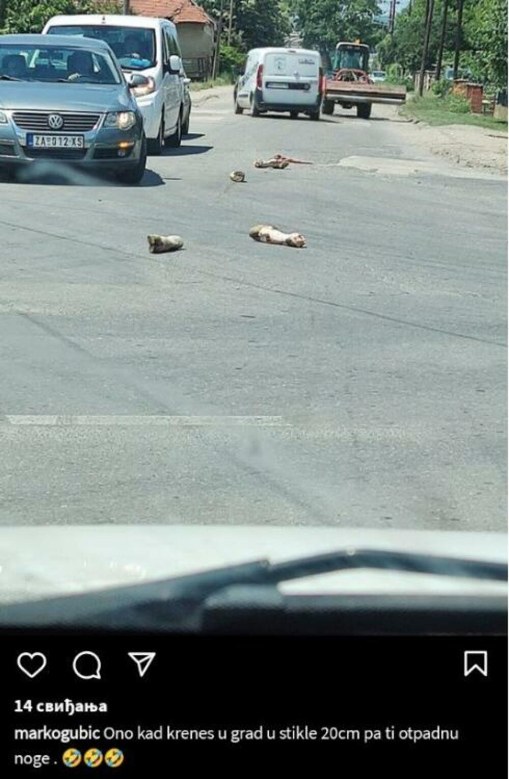 Noge od  svinje po putu