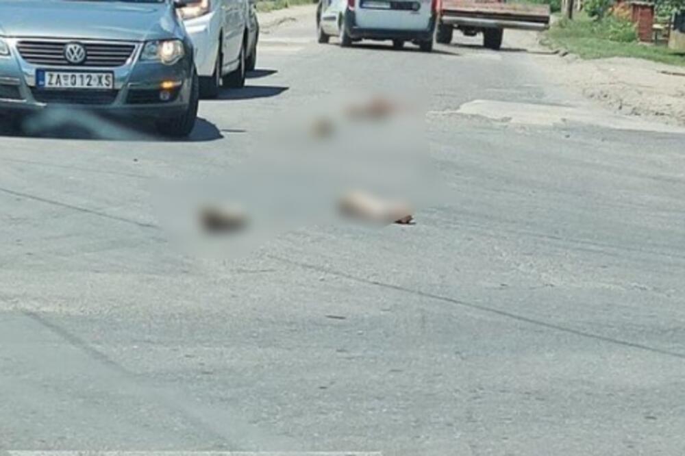 KAO U FILMU "POGREŠNO SKRETANJE": Otkinute NOGE ležale na raskrsnici u Zaječaru, meštani šokirani (FOTO)
