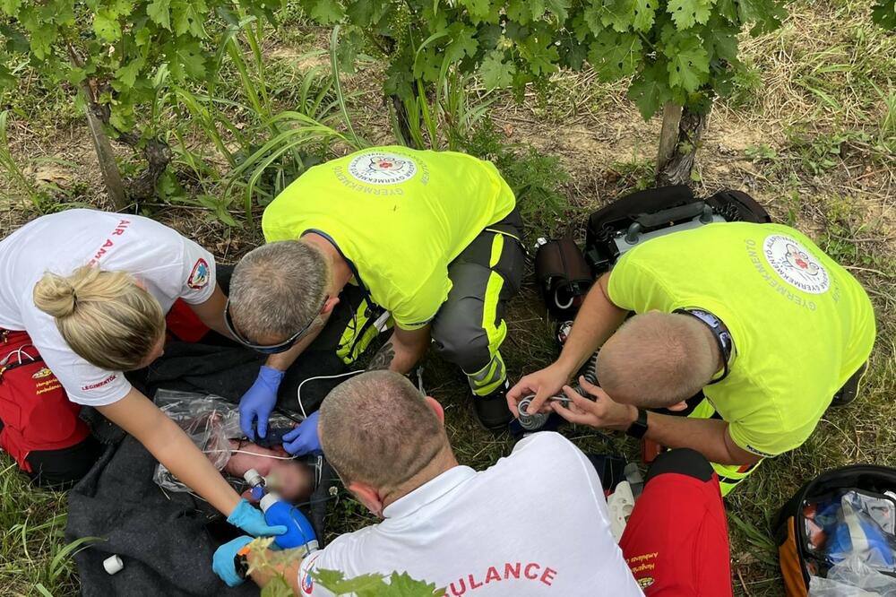 STRAVIČAN INCIDENT U MAĐARSKOJ! Majka bacila svoje DETE u VINOGRAD, borili se da ga ODRŽE u ŽIVOTU