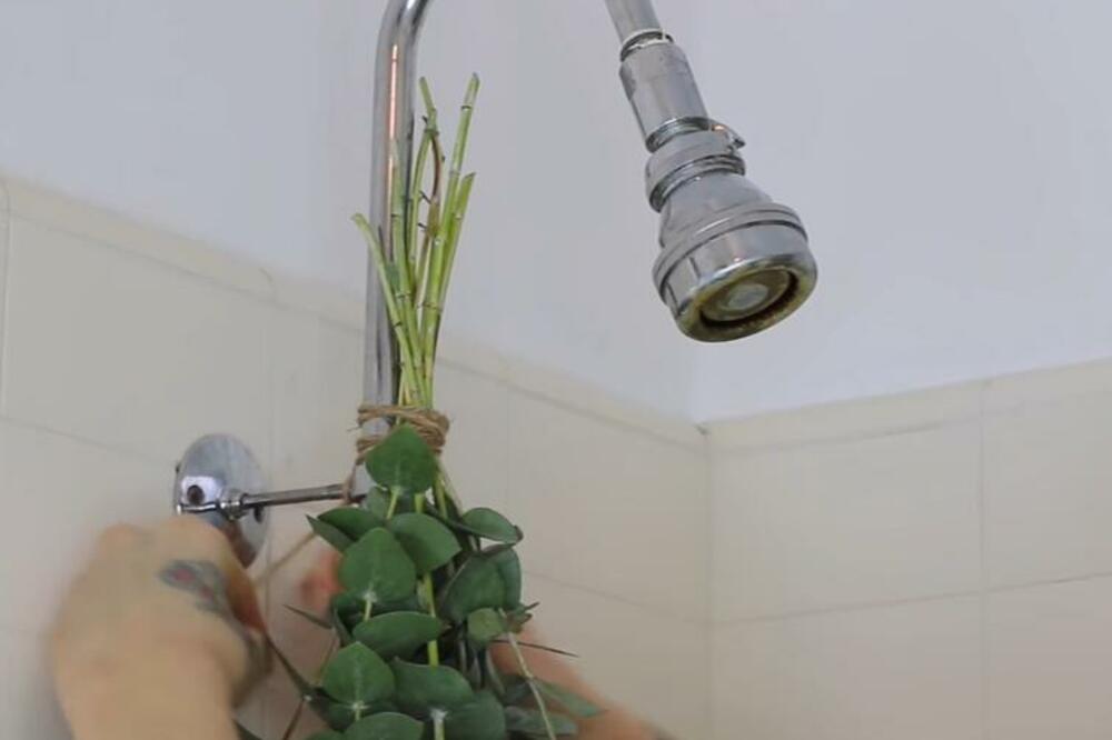 NAPRAVITE PRIRODNU AROMATERAPIJU KOD KUĆE: Ovu BILJKU samo okačite IZNAD TUŠA!