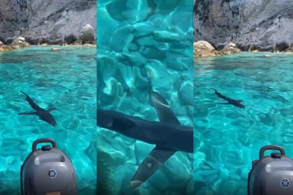 10 NAJOPASNIJIH MESTA ZA NAPADE AJKULA: Ovde ni ne pomišljajte da se KUPATE, bežite ako vam je do ŽIVOTA! (FOTO)