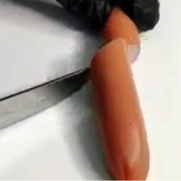 SNIMAK VIRŠLE POD MIKROSKOPOM JE LAŽAN