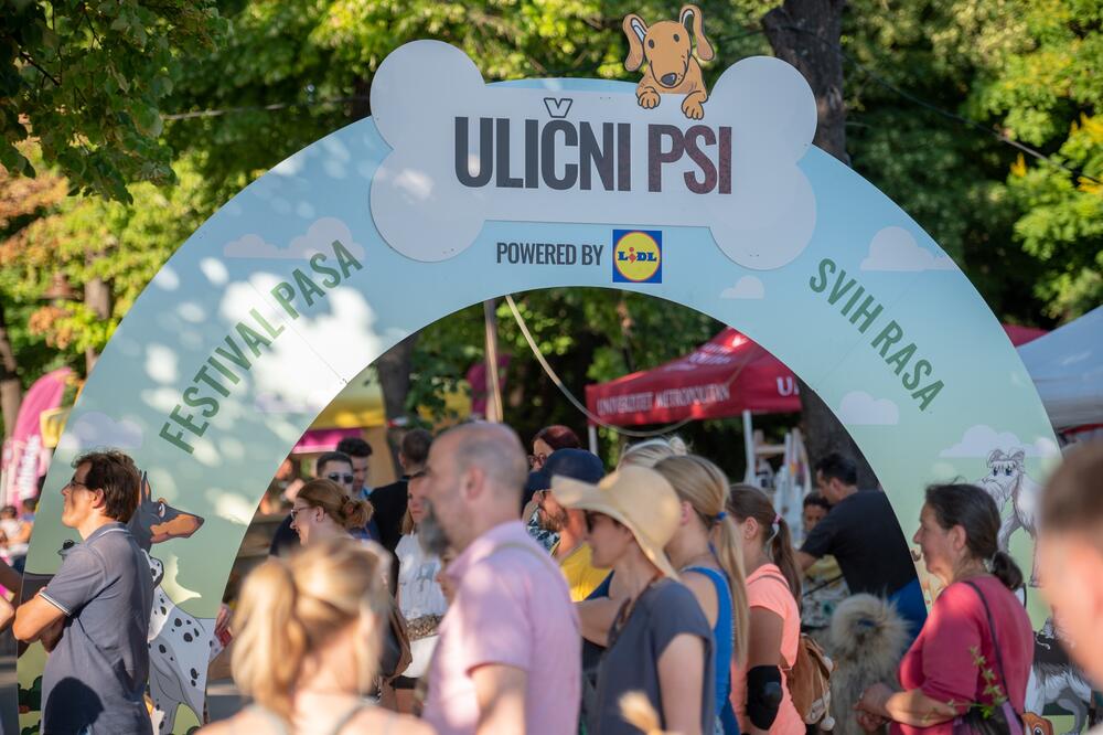 VELIKA POSEĆENOST PRVOG REGIONALNOG FESTIVALA PASA SVIH RASA: Završen festival “Ulični psi” na Kalemegdanu