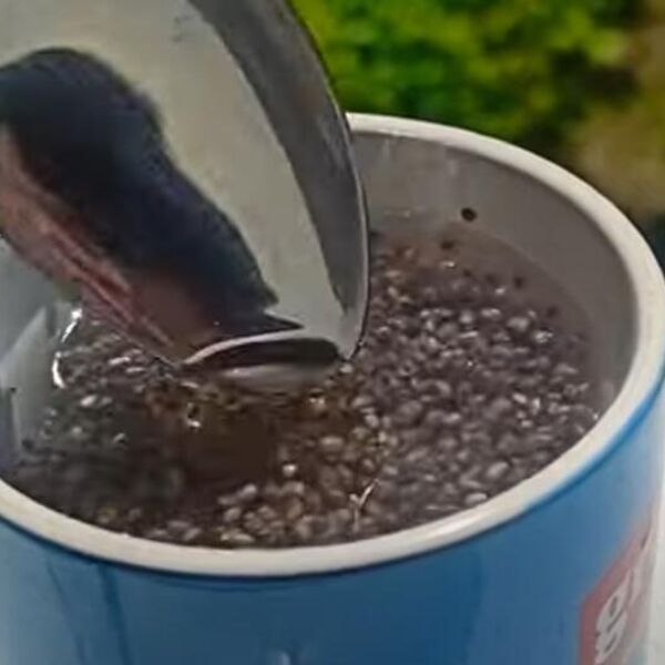 OVE NAMIRNICE SU MELEM ZA VAŠA CREVA: Podstiču PROBAVU bolje nego bilo koji LEK! Radiće 100 na sat!