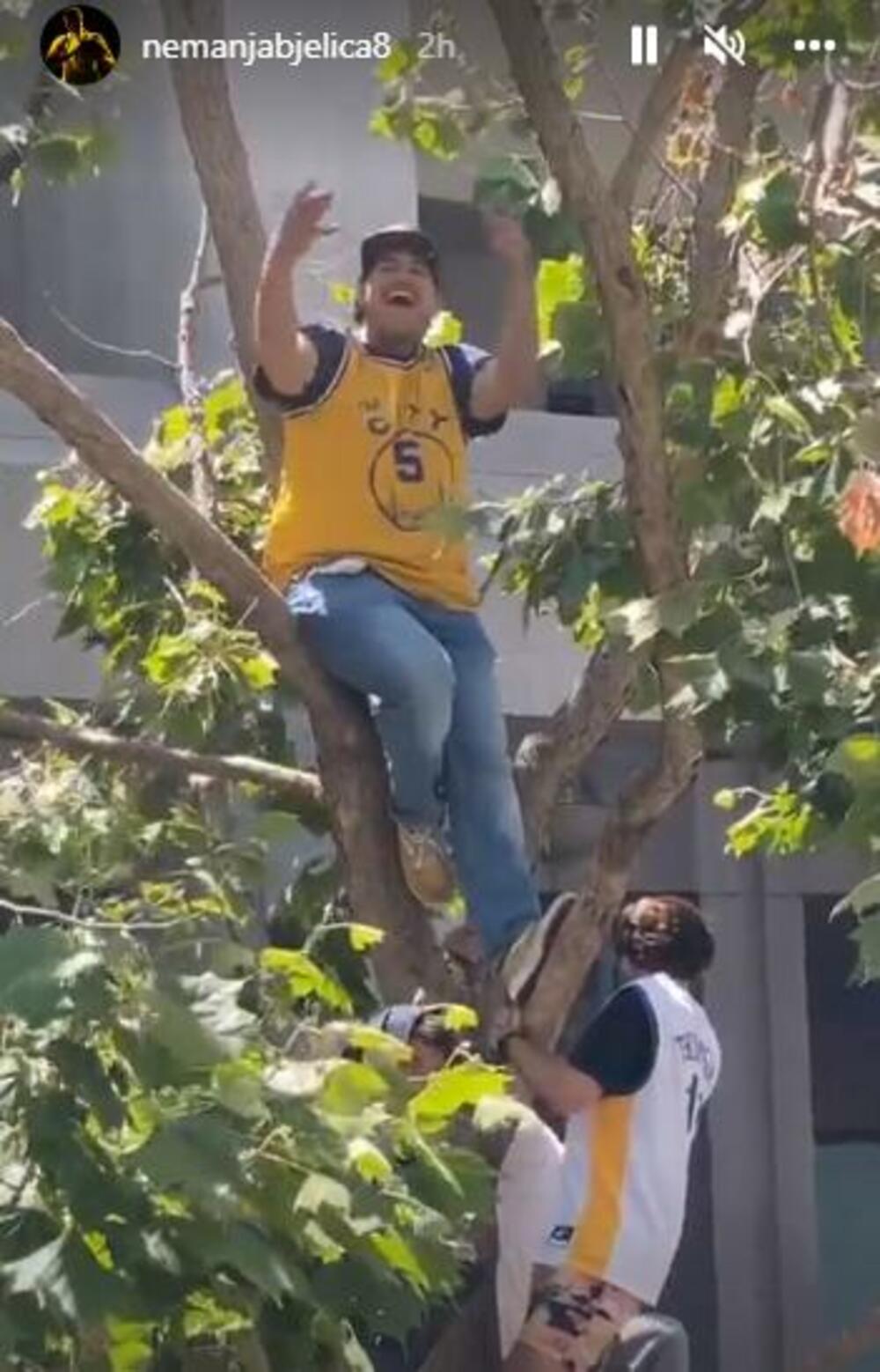 Navijači Golden Stejta