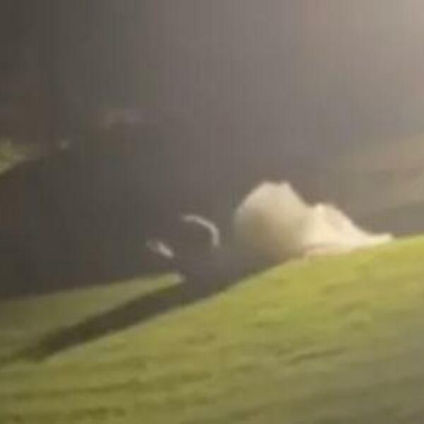 MLADA I KUM UHVAĆENI U SRAMNOJ POZI, MOLILI SU JE DA MU TO NE RADI: Izašao ŠOKANTAN SNIMAK (VIDEO)