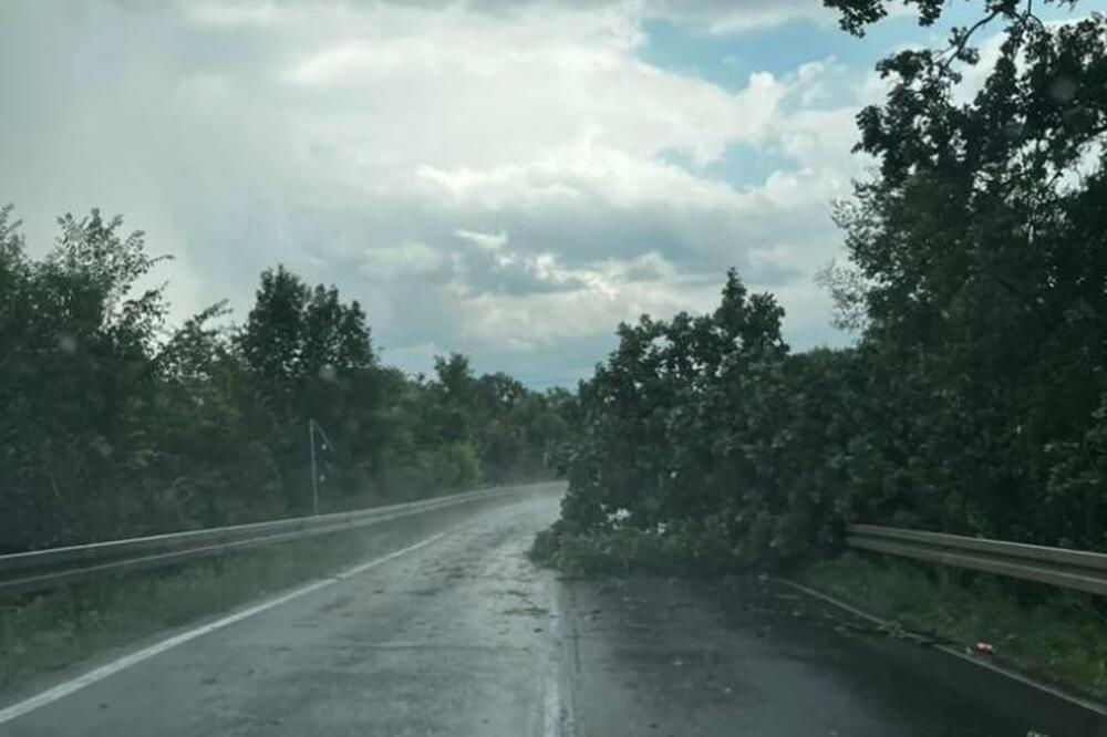 JOŠ JEDNA OLUJA: Snažno nevreme zahvatilo Zaječar i Knjaževac, vetar obarao stabla