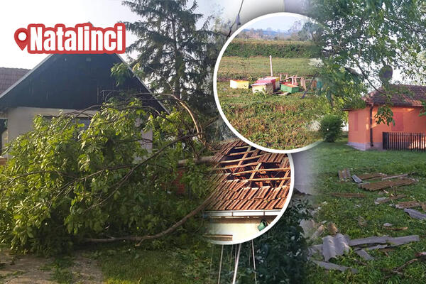 NEVREME U OKOLINI TOPOLE NAPRAVILO VELIKU ŠTETU: Stradale PČELE u KOŠNICAMA, uništeni PLASTENICI, USEVI... (FOTO)