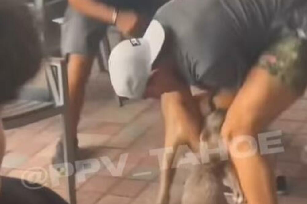KRVOLOČNI PITBUL BRUTALNO NAPAO PUDLICU: Ljudi SILOVITO pojurili da je SPASU, uplašeno CVILELA! (UZNEMIRUJUĆ VIDEO)