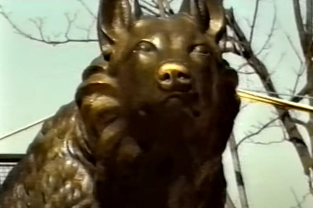 NEVEROVATNA PRIČA O KERUŠI GABI: Heroj BEOGRADA čiji spomenik i danas stoji u Zoo vrt-u, a evo i ZBOG ČEGA!