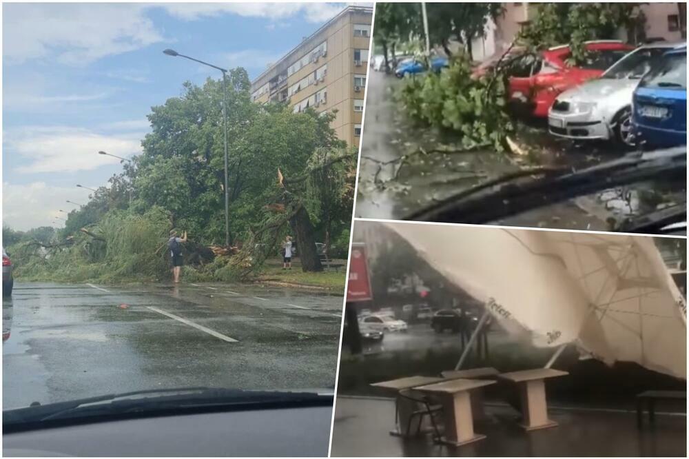NOVI SAD ZADESILO STRAŠNO NEVREME: Pojedini delovi grada POPLAVLJENI, olujni vetar rušio grane (VIDEO)