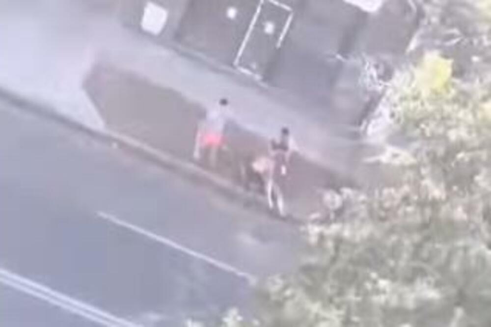 JEZIVE SCENE USRED PETROVARADINA, KRV NA PLOČNIKU! Gledate na sopstvenu odgovornost! (UZNEMIRUJUĆI VIDEO)