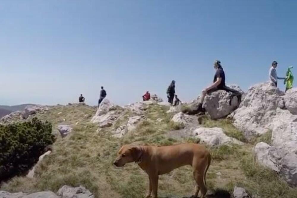 NEOBIČNE I EKSTREMNE RUTE KOD KOMŠIJA: Planinarenje samo za NAJSPREMNIJE, da li biste se USUDILI? (VIDEO)