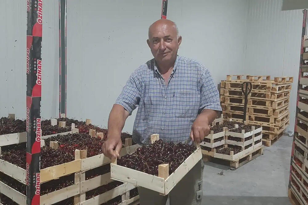 HLADNJAČAR MOMA NAKRIVIO ŠAJKAČU! Rafovi mu puni, voćke se crvene, a on OTKUPIO SAV ROD (FOTO)