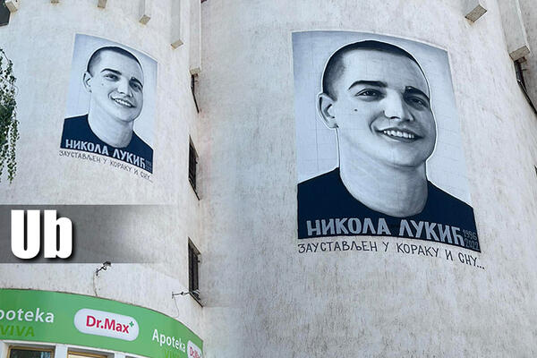 "ZAUSTAVLJEN U KORAKU I SNU"! Drugari muralom odali počast nastradalom Nikoli sa Uba (FOTO)