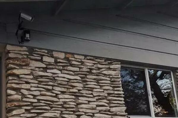 KAKVO MU JE IME TAKAV JE ON: Ovaj ZLATNI HAKLBERI ima jednu VRLO ČUDNU NAVIKU, a poruka VLASNICE je tek LUDOST!