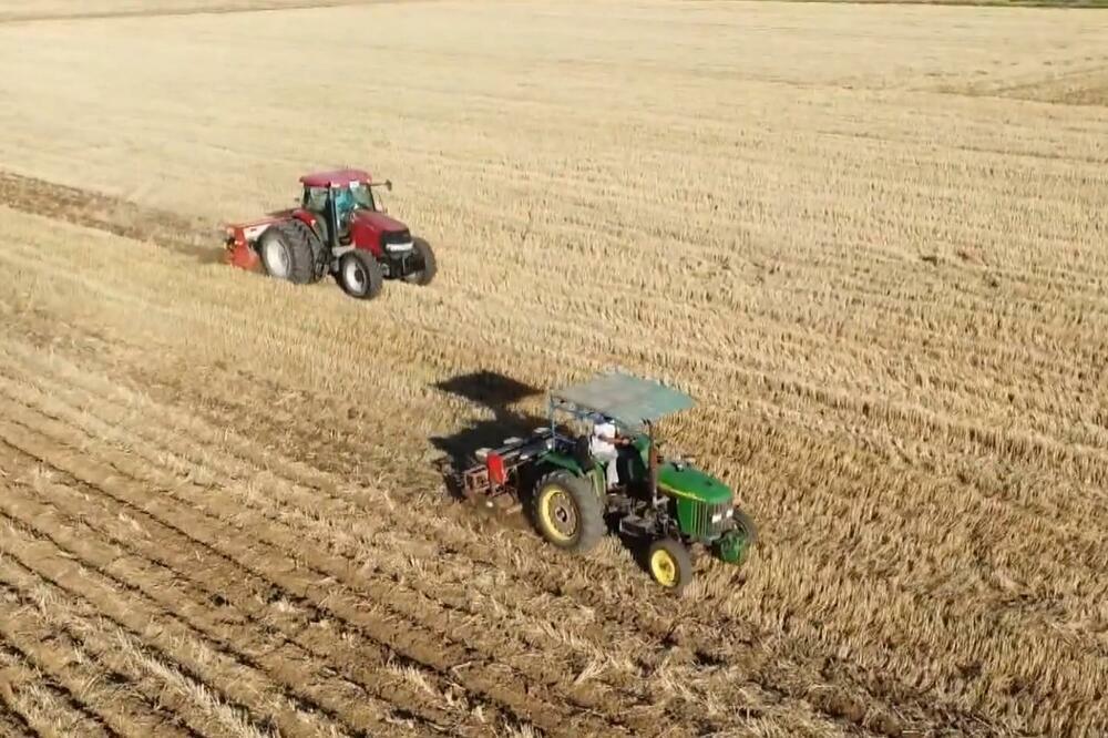 U Kini završena letnja žetva žitarica! Kvalitet nikad bolji VIDEO