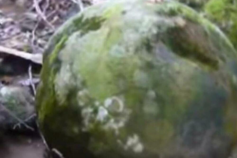 TAJNOVITE KUGLE NA SRPSKOJ PLANINI: Veruje se da imaju ISCELITELJSKE MOĆI, izgledaju VANZEMALJSKI! (FOTO)