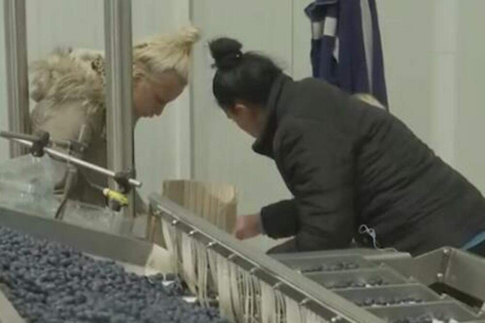 ONI NE ZNAJU ZA SUNČANICU I DEHIDRATACIJU: Rade u JAKNAMA, a ako izađu odmah na sunce PADAJU U NESVEST!