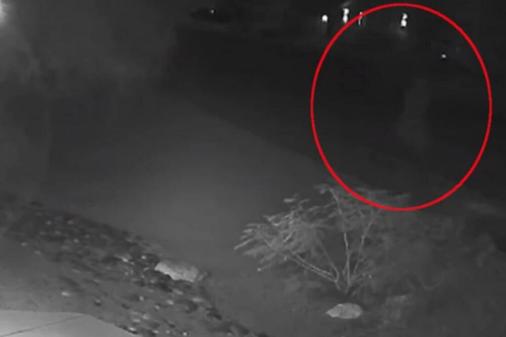 CEO GRAD NA NOGAMA! Pojavio se SNIMAK SILOVATELJA koji je napao već 3 ŽENE, objavljen i OPIS NASILNIKA (VIDEO)