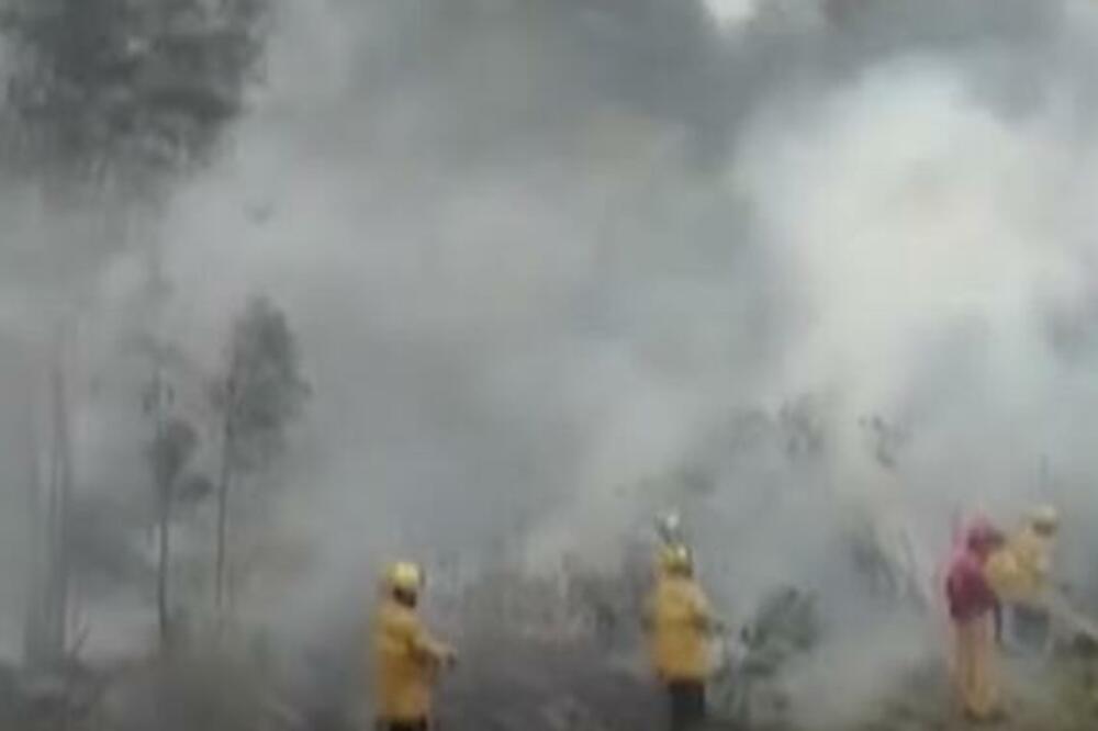 IZGORE MAČU PIKČU! Vatrogasci na TERENU, vetar otežava BORBU- dramatično! (VIDEO)