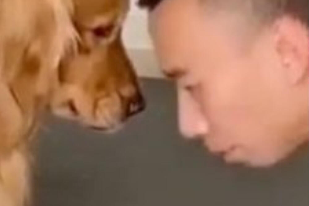 SNIMAO ČIN SA PSOM, ISPLIVALO SVE: Mnogi ne veruju sopstvenim očima ŠTA RADE (VIDEO)