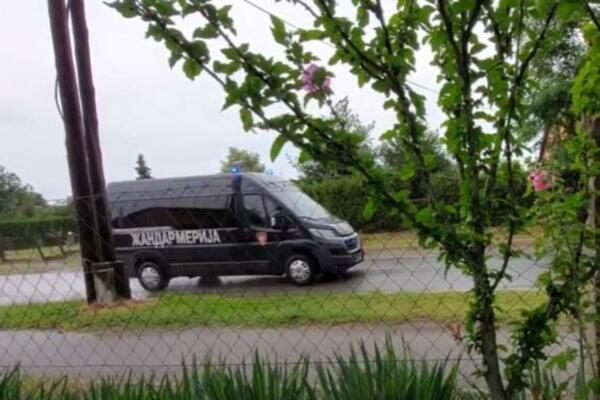 KRVAVA TUČA MIGRANATA U ŠUMI KOD SUBOTICE: Sumnja se da ima i MRTVIH!