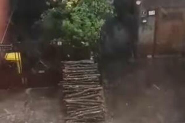 GRAD VELIČINE GRAŠKA POGODIO NIŠ: Vetar obarao STABLA (VIDEO)