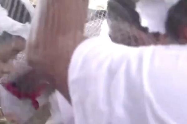 KAKVA LUDNICA NA SVADBI GRADONAČELNIKA: Mladu morali da VEŽU, malo falilo da ga ugrize (VIDEO)