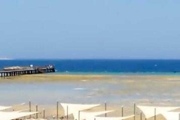 JOŠ JEDNA ŽRTVA AJKULE U HURGADI: Oglasilo se EGIPATSKO MINISTARSTVO