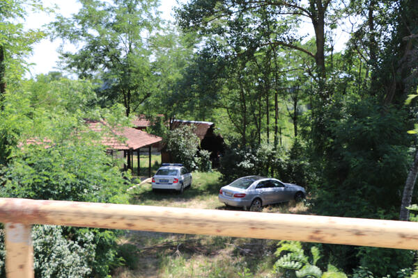 OSTAVILA JE OPROŠTAJNO PISMO I OTIŠLA U SMRT: Poznati detalji užasa kod Mrčajevaca (FOTO)