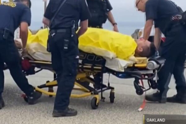 SRBINA IZUJEDALA AJKULA, UMALO DA OSTANE BEZ GLAVE: Delove tela morao da pridržava, HOROR SE JOŠ PAMTI (VIDEO)