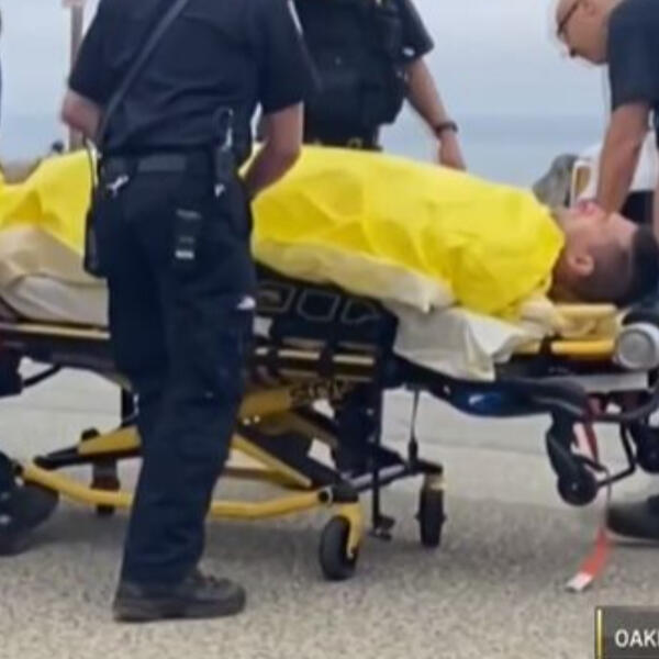 SRBINA IZUJEDALA AJKULA, UMALO DA OSTANE BEZ GLAVE: Delove tela morao da pridržava, HOROR SE JOŠ PAMTI (VIDEO)