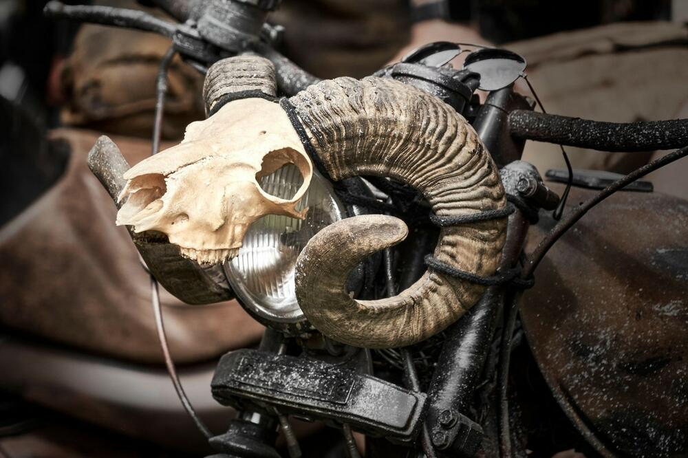 ZNATE LI ODAKLE POTIČE FRAZA "NABITI ROGOVE"? Nema SRBINA koji je ne koristi, a većina NE ZNA!