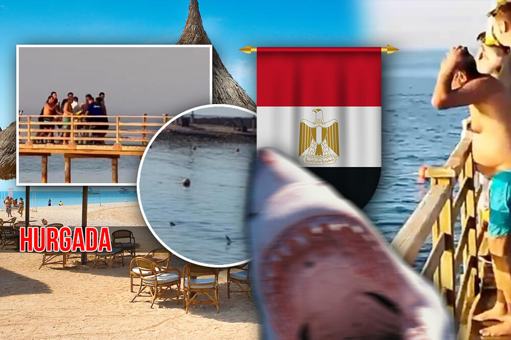 PONOVO PANIKA U EGIPTU, AJKULE NA DVA METRA OD OBALE?! Snimak jasno prikazuje sve, pogledajte ova čudovišta (VIDEO)
