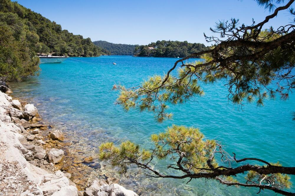 Mljet