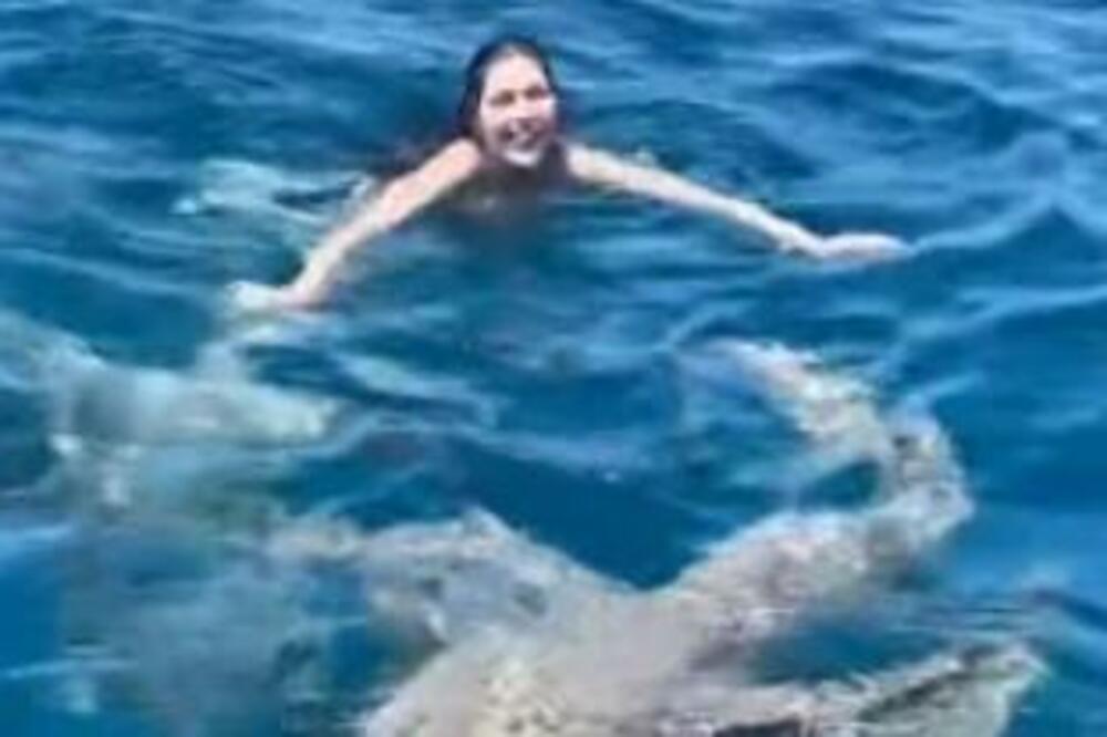 POZNATA SRPKINJA PLIVA SA AJKULAMA, SMEJE SE I SVI JE SNIMAJU: Napali je da je LUDA, a ona onda uradila OVO!